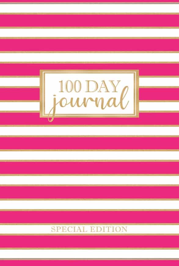 100 Day Journal cover in memory of Emily Harmon